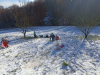 IMG_20231207_094813