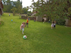 IMG_20240605_104113