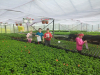 nd_eko_dan_april_daniela_teja_2022_2023_015