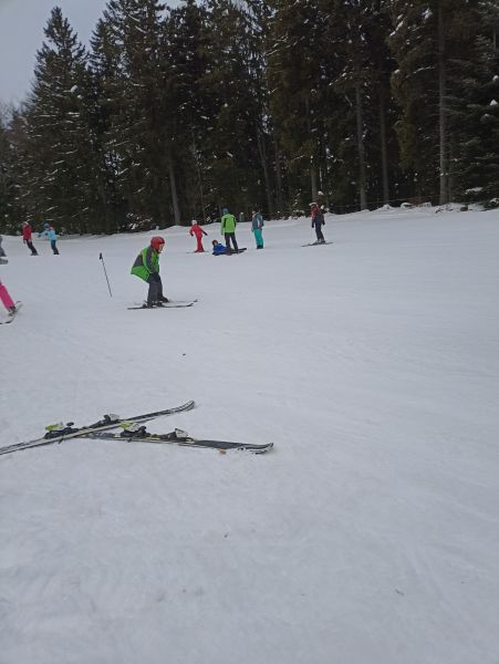 zimska_sola_v_naravi_065