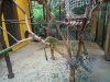 zoo_lj5_razred_2020_21_006