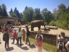 zoo_lj5_razred_2020_21_041