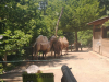 zoo_lj5_razred_2020_21_048