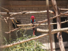 zoo_lj5_razred_2020_21_060